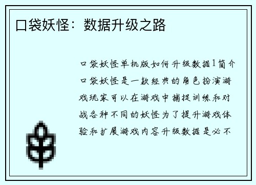 口袋妖怪：数据升级之路